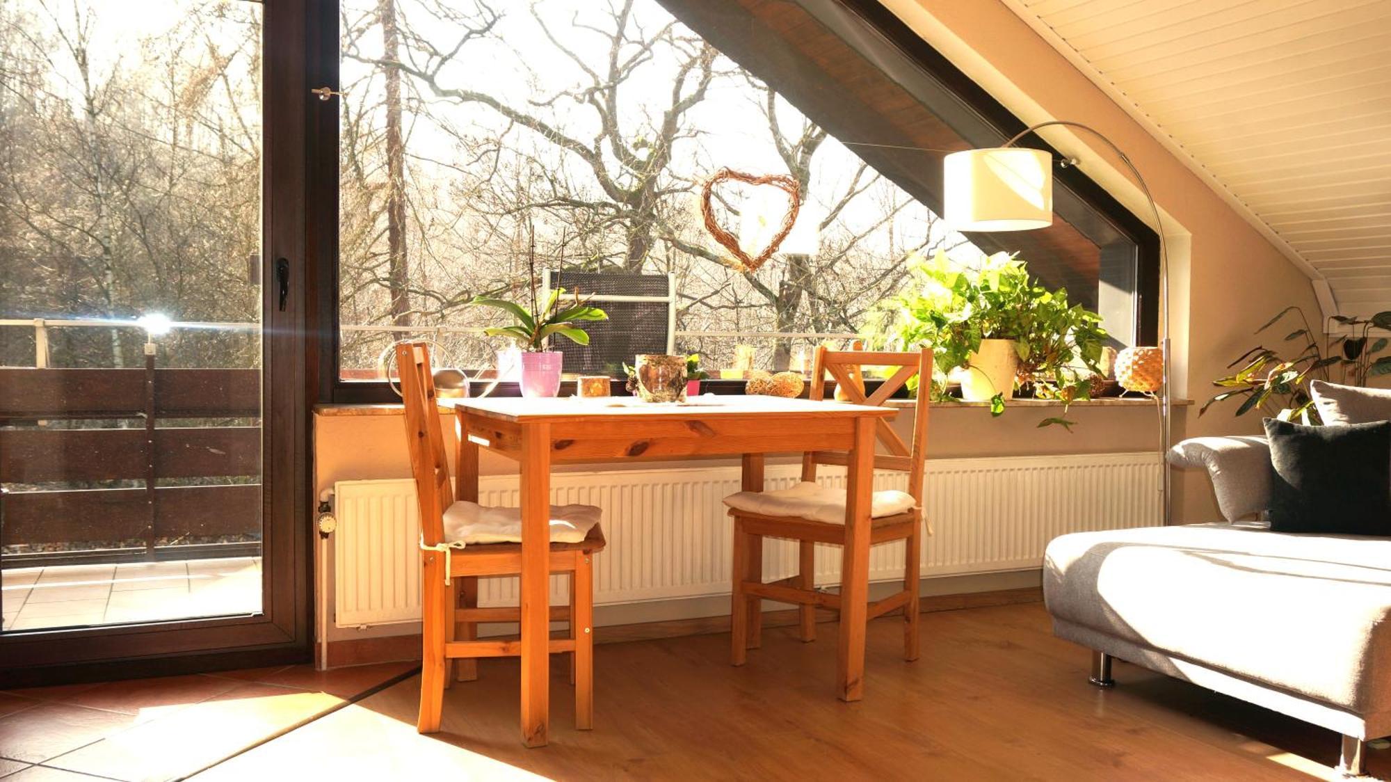 Ferienwohnung Im Wald Mit Kamin Bad Harzburg Exterior photo
